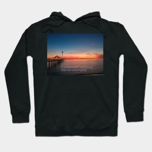 A Comfortable Loneliness Hoodie